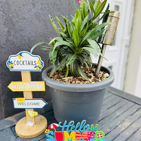 Csillagkapu